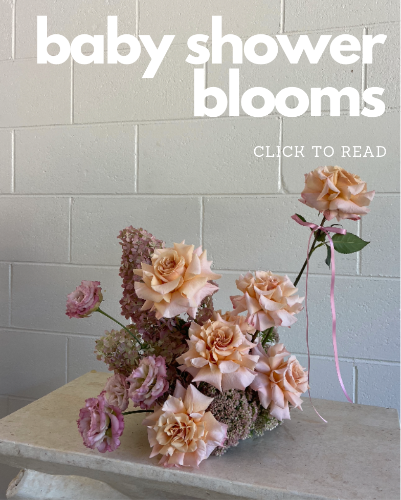 Baby Blooms - February 2024